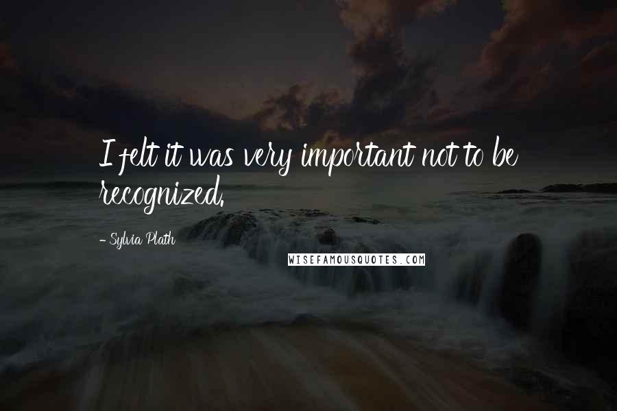 Sylvia Plath Quotes: I felt it was very important not to be recognized.