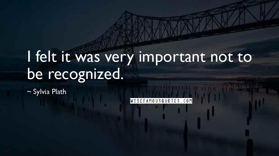 Sylvia Plath Quotes: I felt it was very important not to be recognized.