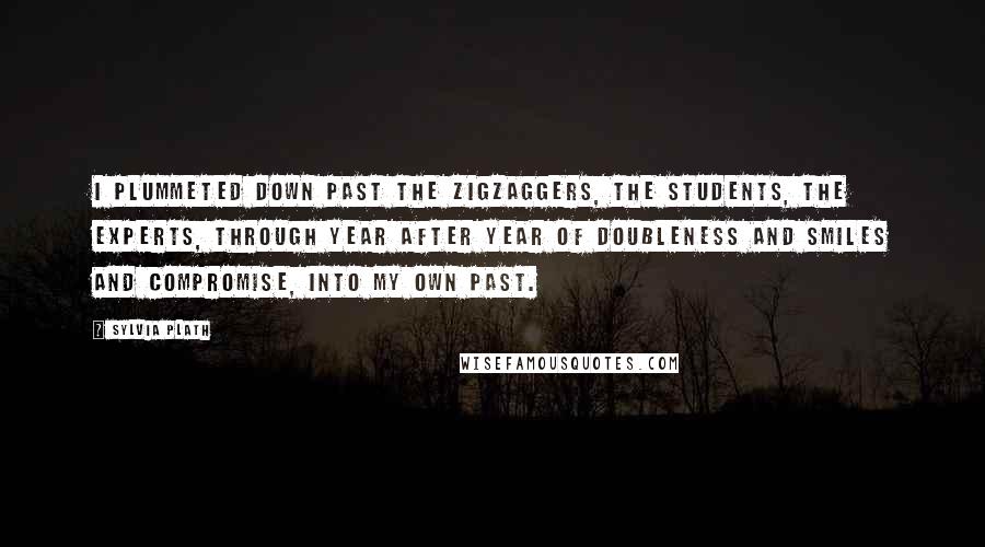 Sylvia Plath Quotes: I plummeted down past the zigzaggers, the students, the experts, through year after year of doubleness and smiles and compromise, into my own past.