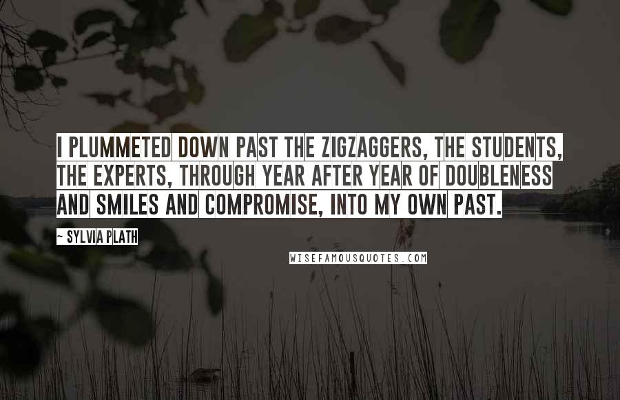 Sylvia Plath Quotes: I plummeted down past the zigzaggers, the students, the experts, through year after year of doubleness and smiles and compromise, into my own past.