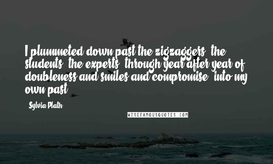 Sylvia Plath Quotes: I plummeted down past the zigzaggers, the students, the experts, through year after year of doubleness and smiles and compromise, into my own past.