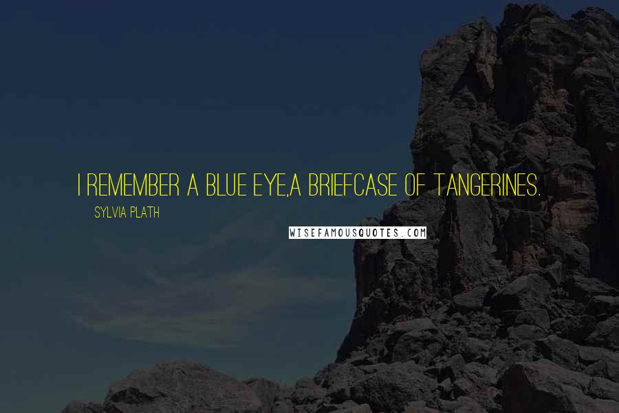 Sylvia Plath Quotes: I remember a blue eye,A briefcase of tangerines.