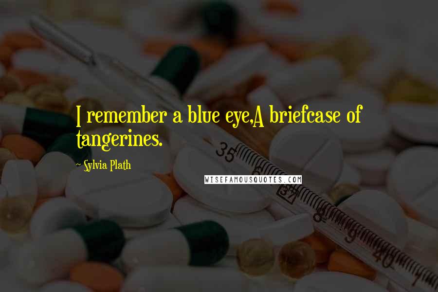 Sylvia Plath Quotes: I remember a blue eye,A briefcase of tangerines.