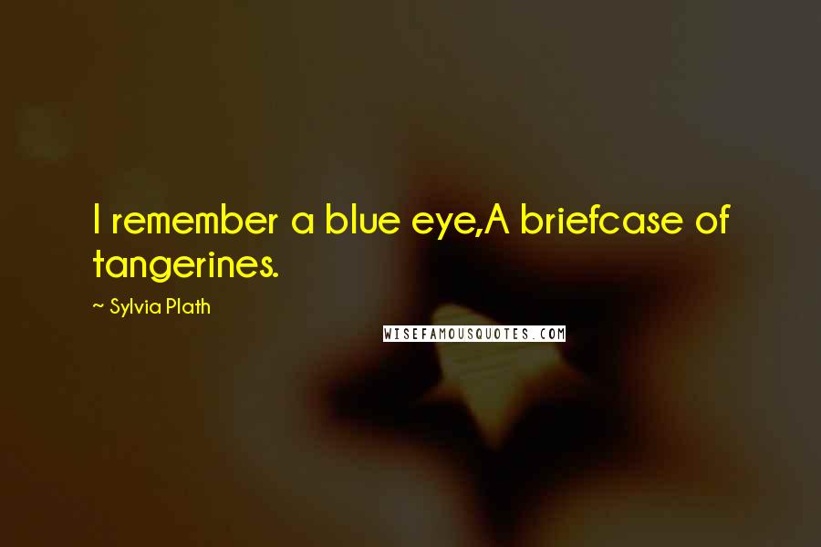 Sylvia Plath Quotes: I remember a blue eye,A briefcase of tangerines.