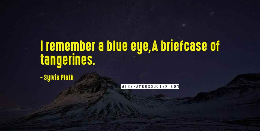 Sylvia Plath Quotes: I remember a blue eye,A briefcase of tangerines.