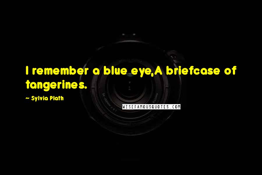 Sylvia Plath Quotes: I remember a blue eye,A briefcase of tangerines.