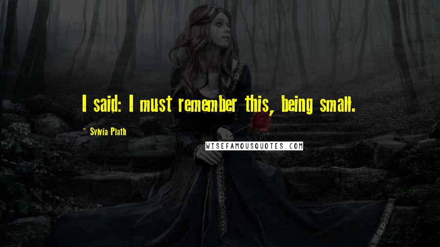 Sylvia Plath Quotes: I said: I must remember this, being small.