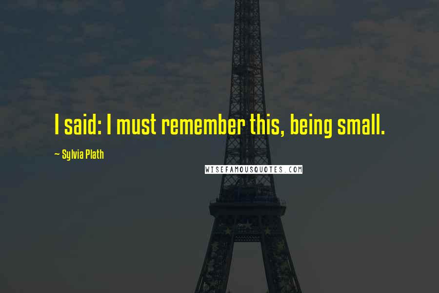 Sylvia Plath Quotes: I said: I must remember this, being small.