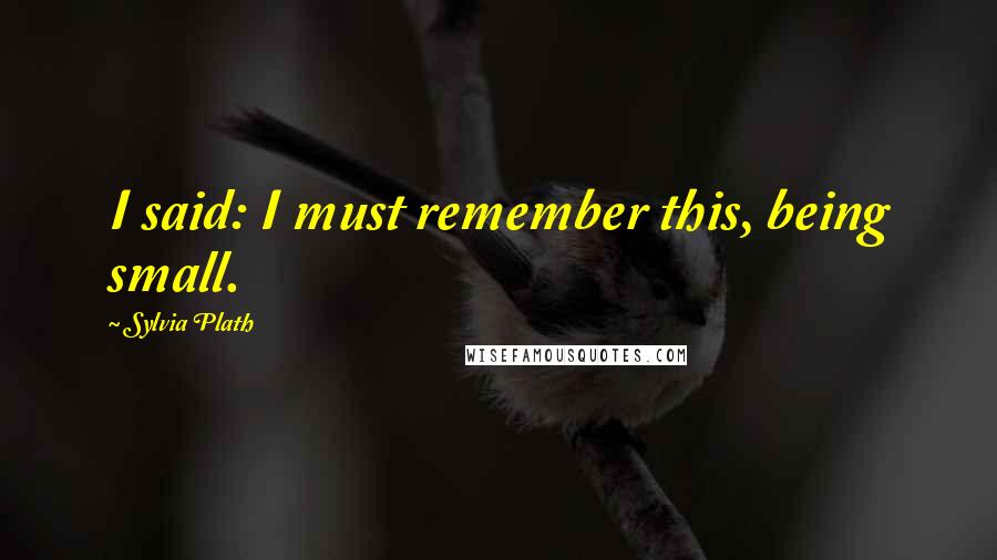 Sylvia Plath Quotes: I said: I must remember this, being small.