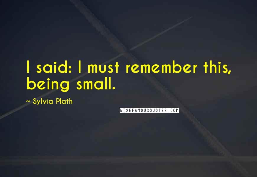 Sylvia Plath Quotes: I said: I must remember this, being small.