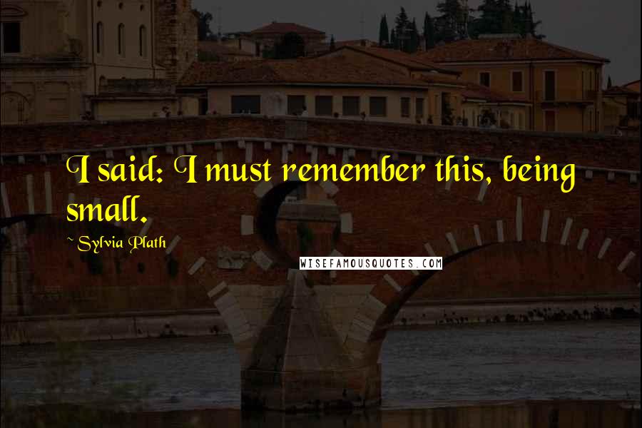 Sylvia Plath Quotes: I said: I must remember this, being small.