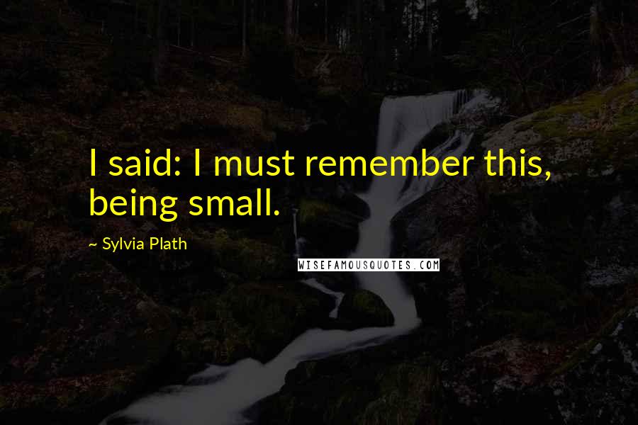 Sylvia Plath Quotes: I said: I must remember this, being small.