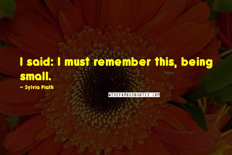 Sylvia Plath Quotes: I said: I must remember this, being small.