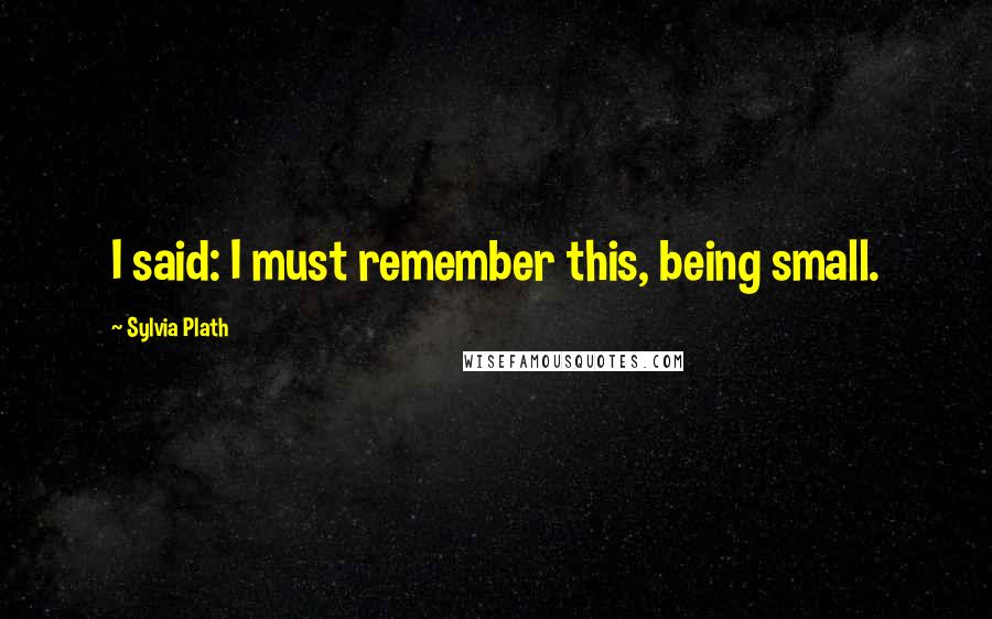 Sylvia Plath Quotes: I said: I must remember this, being small.