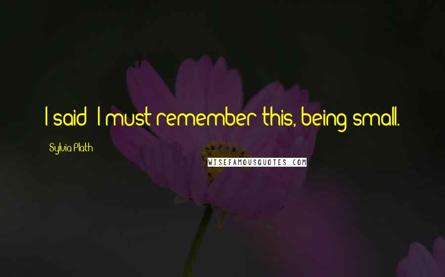 Sylvia Plath Quotes: I said: I must remember this, being small.