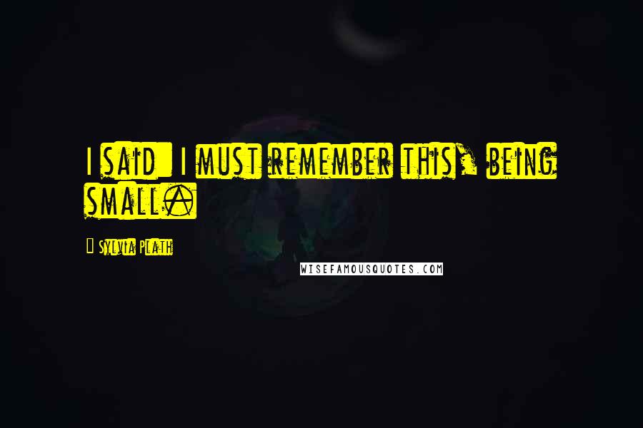 Sylvia Plath Quotes: I said: I must remember this, being small.