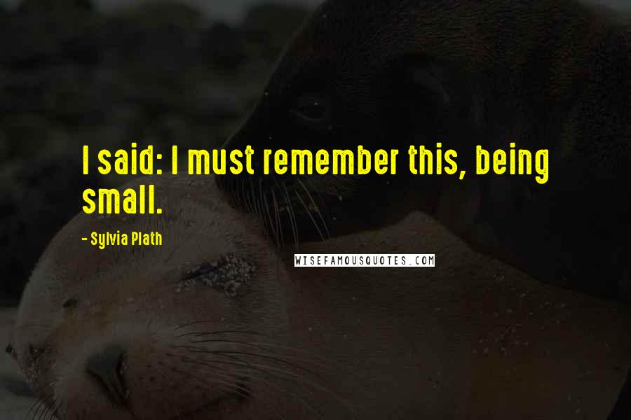 Sylvia Plath Quotes: I said: I must remember this, being small.