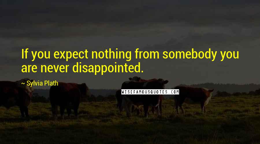 Sylvia Plath Quotes: If you expect nothing from somebody you are never disappointed.