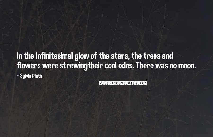 Sylvia Plath Quotes: In the infinitesimal glow of the stars, the trees and flowers were strewingtheir cool odos. There was no moon.