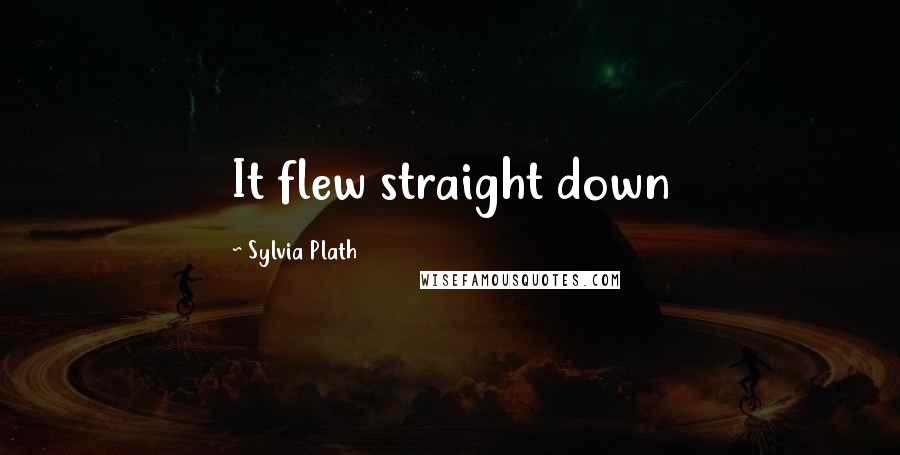 Sylvia Plath Quotes: It flew straight down
