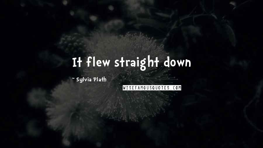 Sylvia Plath Quotes: It flew straight down