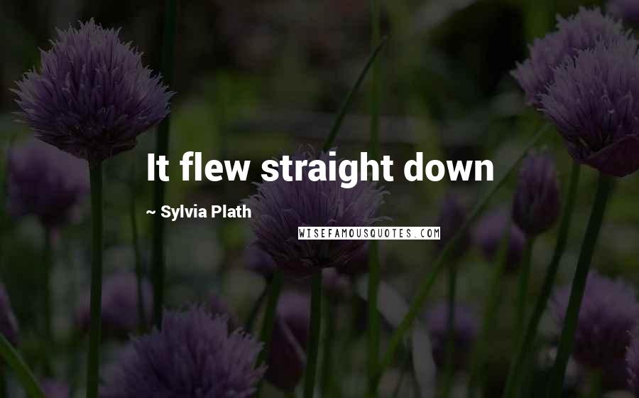 Sylvia Plath Quotes: It flew straight down
