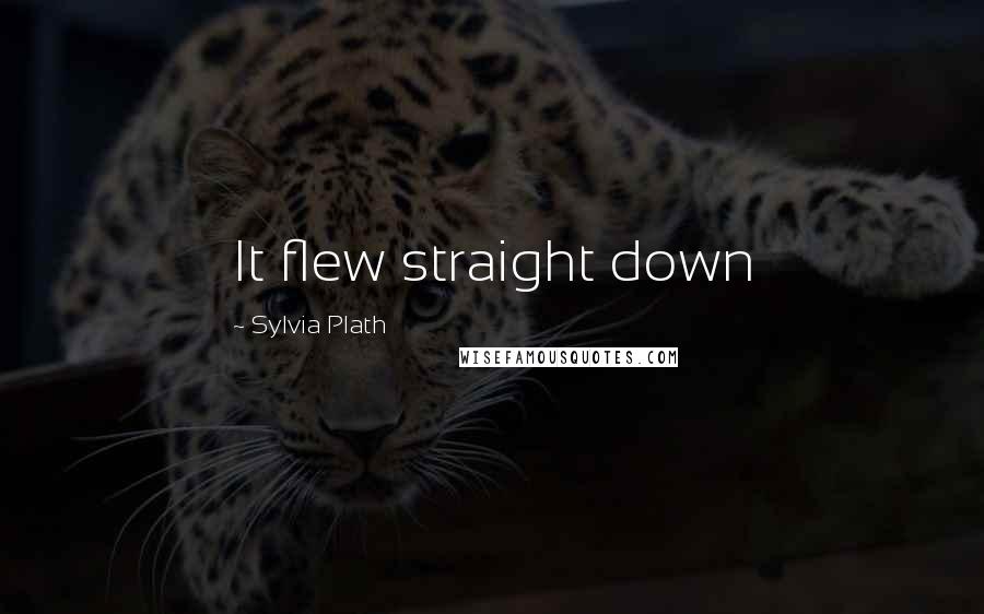 Sylvia Plath Quotes: It flew straight down