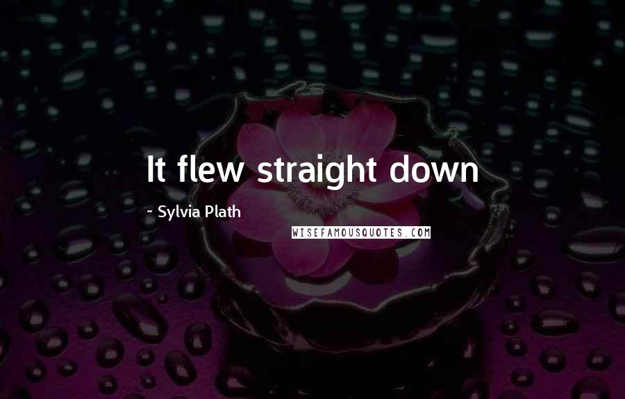 Sylvia Plath Quotes: It flew straight down