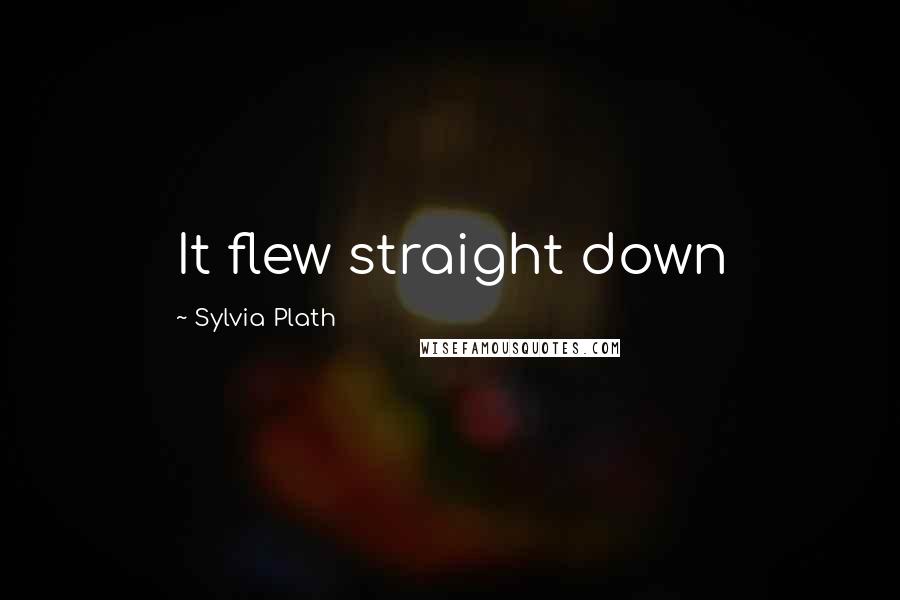 Sylvia Plath Quotes: It flew straight down