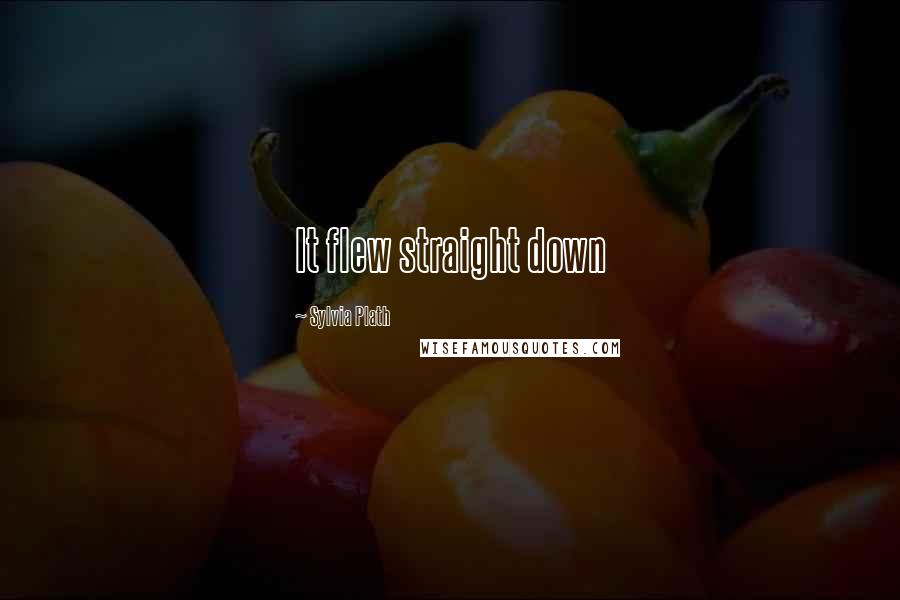 Sylvia Plath Quotes: It flew straight down