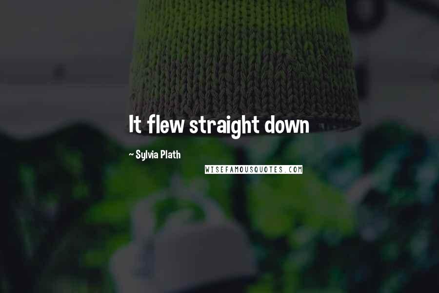 Sylvia Plath Quotes: It flew straight down