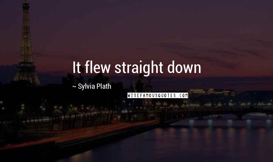Sylvia Plath Quotes: It flew straight down