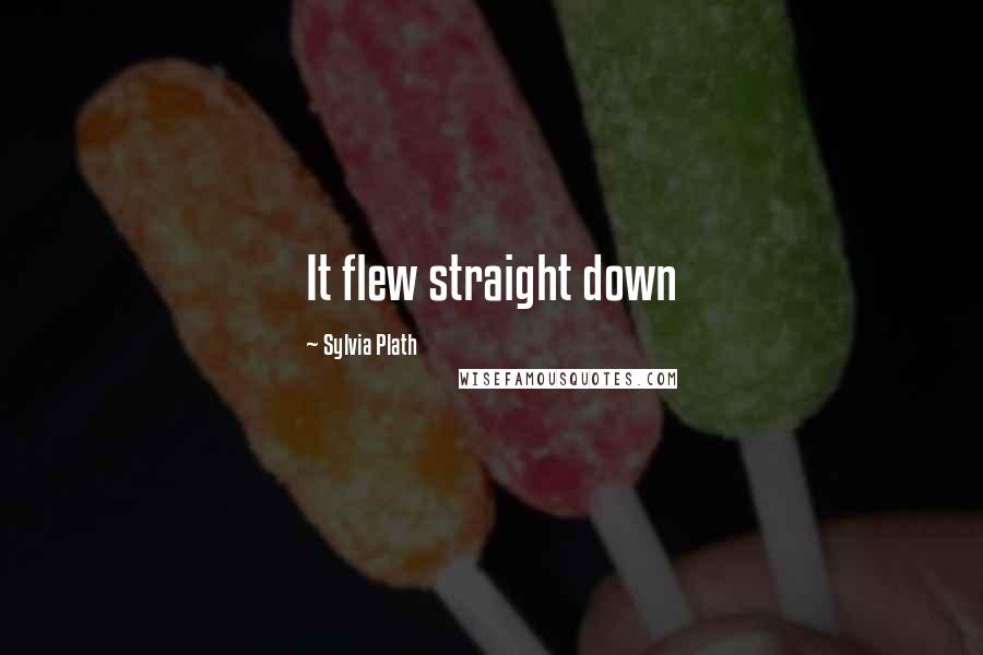 Sylvia Plath Quotes: It flew straight down