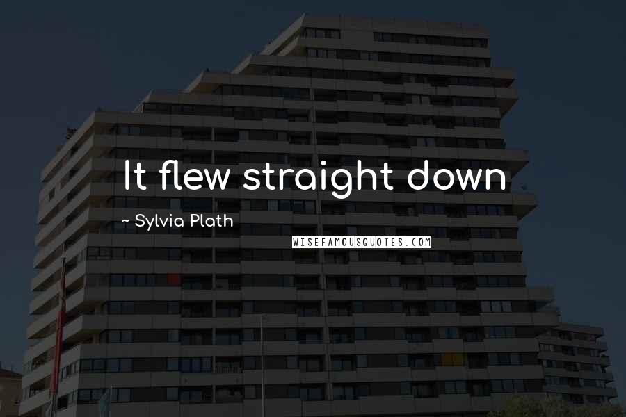 Sylvia Plath Quotes: It flew straight down