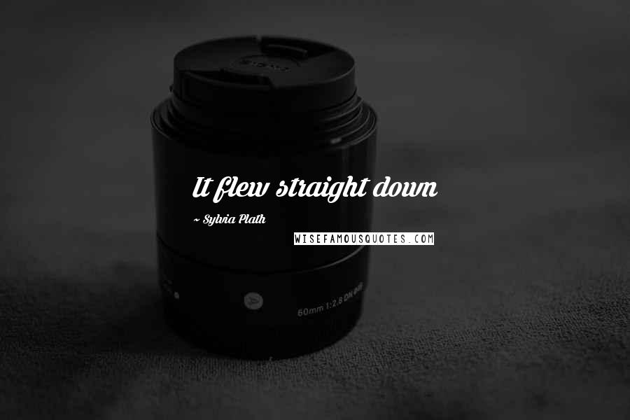 Sylvia Plath Quotes: It flew straight down