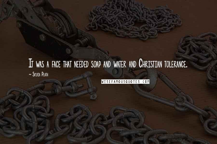 Sylvia Plath Quotes: It was a face that needed soap and water and Christian tolerance.