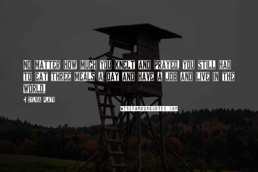 Sylvia Plath Quotes: No matter how much you knelt and prayed, you still had to eat three meals a day and have a job and live in the world.