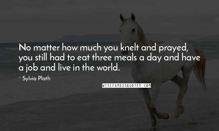 Sylvia Plath Quotes: No matter how much you knelt and prayed, you still had to eat three meals a day and have a job and live in the world.