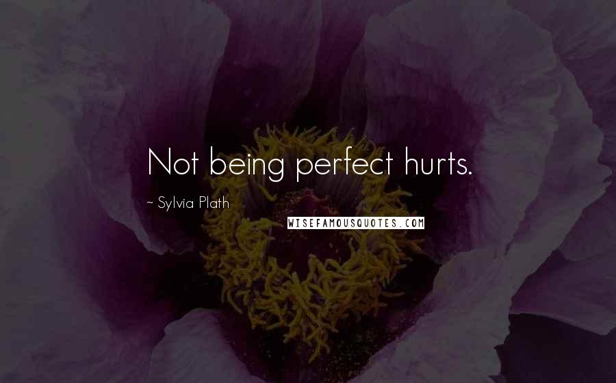 Sylvia Plath Quotes: Not being perfect hurts.