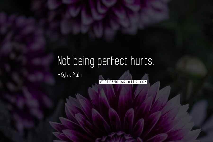 Sylvia Plath Quotes: Not being perfect hurts.