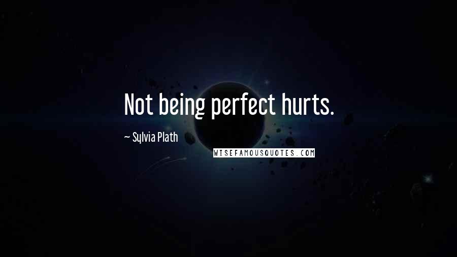 Sylvia Plath Quotes: Not being perfect hurts.