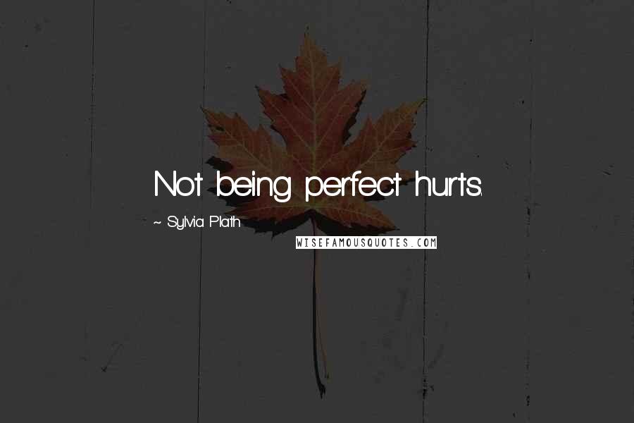 Sylvia Plath Quotes: Not being perfect hurts.