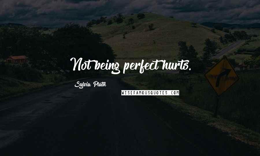Sylvia Plath Quotes: Not being perfect hurts.
