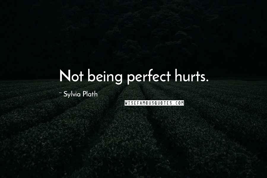 Sylvia Plath Quotes: Not being perfect hurts.