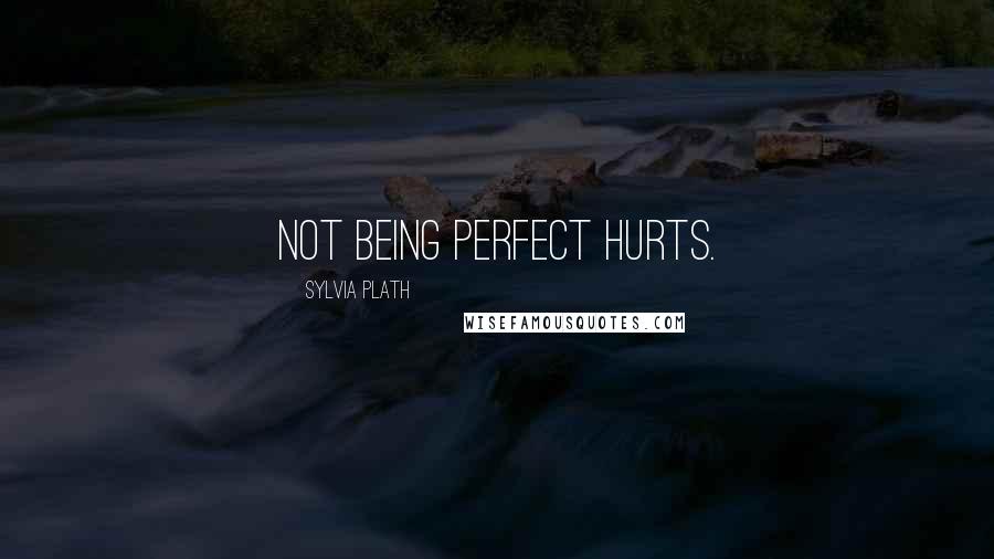 Sylvia Plath Quotes: Not being perfect hurts.