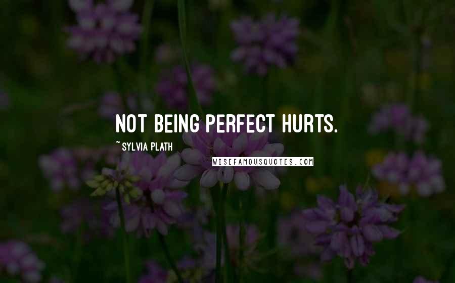 Sylvia Plath Quotes: Not being perfect hurts.