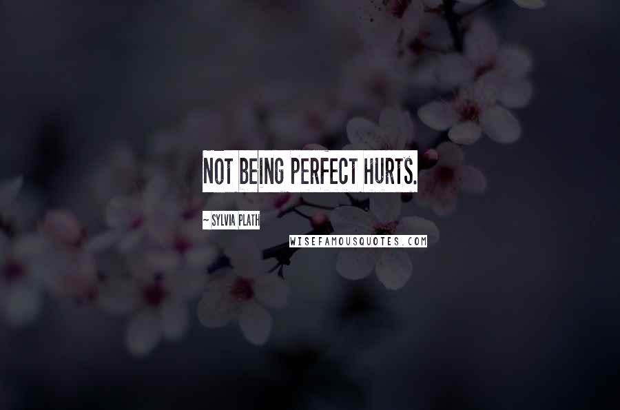 Sylvia Plath Quotes: Not being perfect hurts.