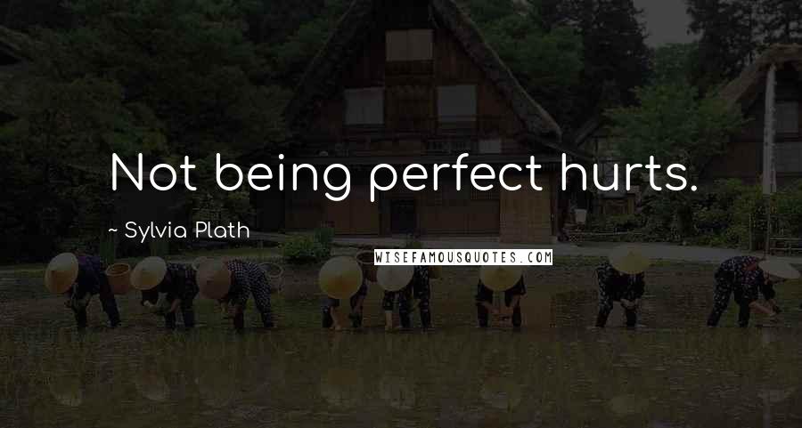 Sylvia Plath Quotes: Not being perfect hurts.