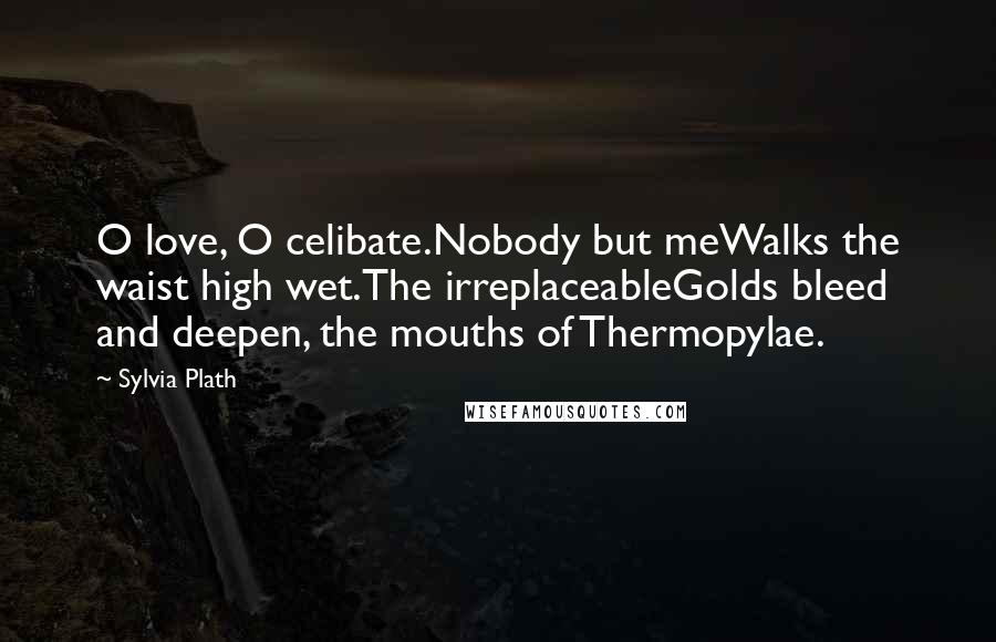 Sylvia Plath Quotes: O love, O celibate.Nobody but meWalks the waist high wet.The irreplaceableGolds bleed and deepen, the mouths of Thermopylae.