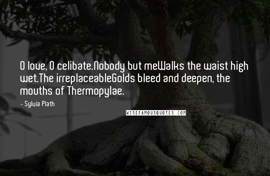 Sylvia Plath Quotes: O love, O celibate.Nobody but meWalks the waist high wet.The irreplaceableGolds bleed and deepen, the mouths of Thermopylae.